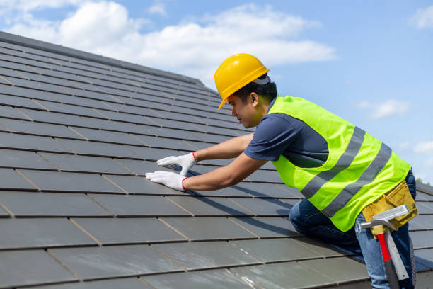 Best Roof Gutter Cleaning  in Clive, IA