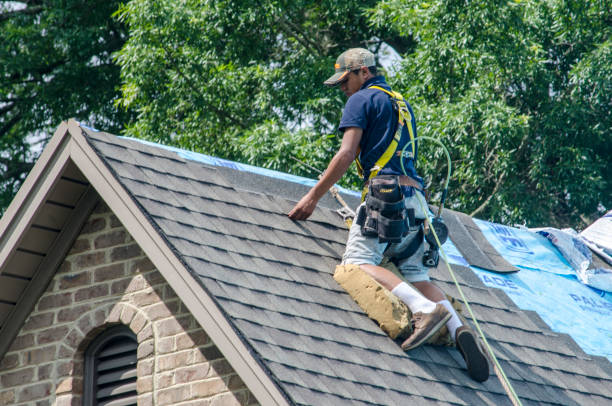 Professional Roofing Contractor in Clive, IA